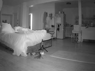 voyeurcam-celticiron-02