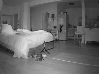 voyeurcam-celticiron-02