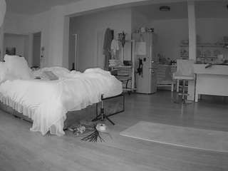 voyeurcam-celticiron-02