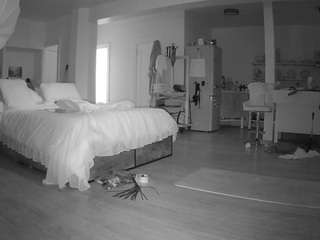 voyeurcam-celticiron-02