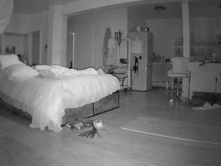 voyeurcam-celticiron-02