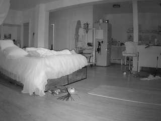 voyeurcam-celticiron-02