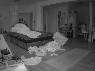 voyeurcam-celticiron-02