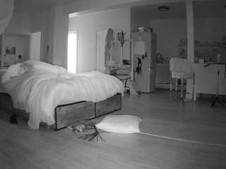 voyeurcam-celticiron-02