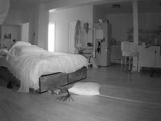 voyeurcam-celticiron-02