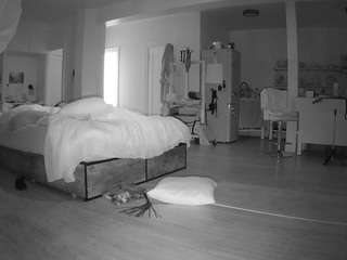 voyeurcam-celticiron-02