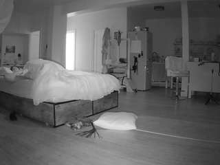 voyeurcam-celticiron-02