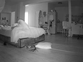 voyeurcam-celticiron-02