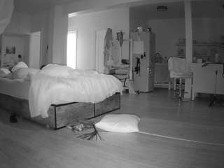 voyeurcam-celticiron-02