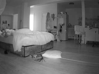 voyeurcam-celticiron-02