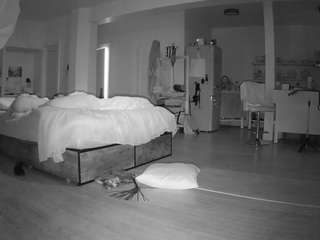 voyeurcam-celticiron-02