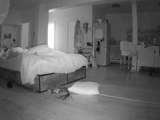 voyeurcam-celticiron-02