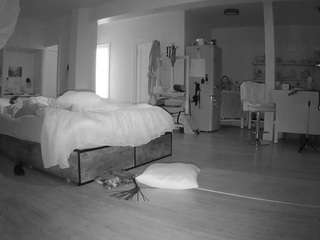 voyeurcam-celticiron-02