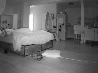 voyeurcam-celticiron-02