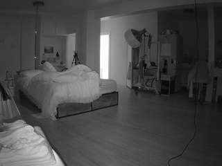 voyeurcam-celticiron-02