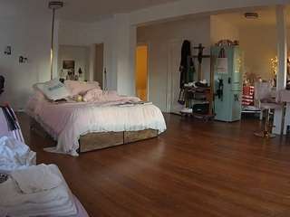 voyeurcam-celticiron-02