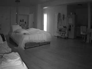 voyeurcam-celticiron-02