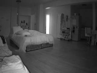 voyeurcam-celticiron-02