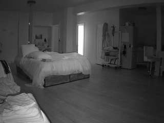 voyeurcam-celticiron-02