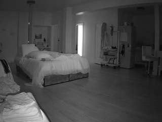 voyeurcam-celticiron-02