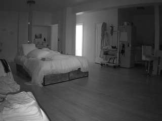 voyeurcam-celticiron-02