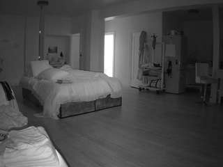 voyeurcam-celticiron-02