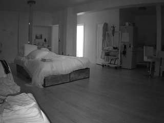 voyeurcam-celticiron-02