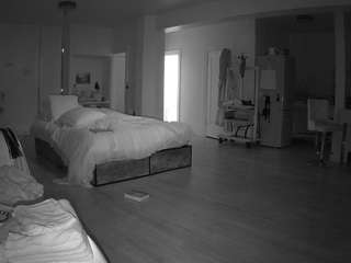 voyeurcam-celticiron-02