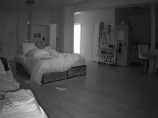 voyeurcam-celticiron-02