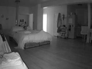 voyeurcam-celticiron-02