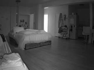 voyeurcam-celticiron-02