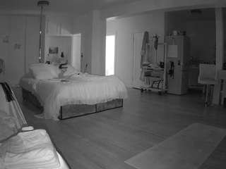 voyeurcam-celticiron-02