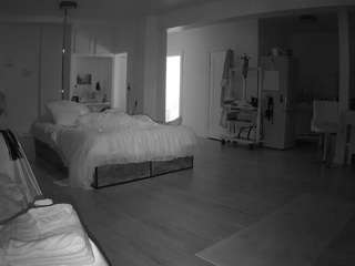 voyeurcam-celticiron-02