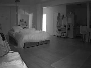 voyeurcam-celticiron-02