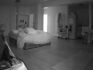 voyeurcam-celticiron-02