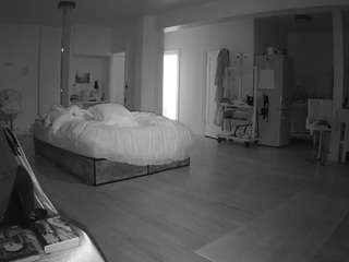 voyeurcam-celticiron-02