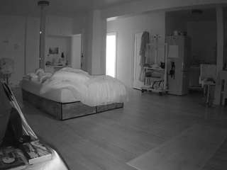 voyeurcam-celticiron-02