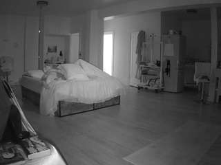 voyeurcam-celticiron-02