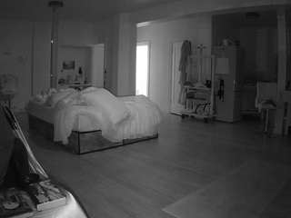 voyeurcam-celticiron-02