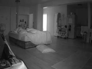 voyeurcam-celticiron-02