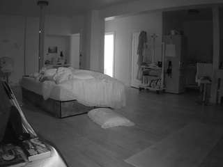 voyeurcam-celticiron-02