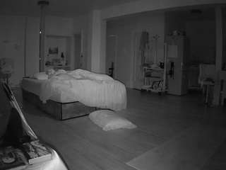 voyeurcam-celticiron-02