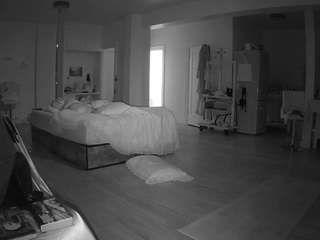 voyeurcam-celticiron-02