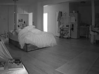 voyeurcam-celticiron-02