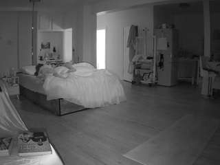 voyeurcam-celticiron-02