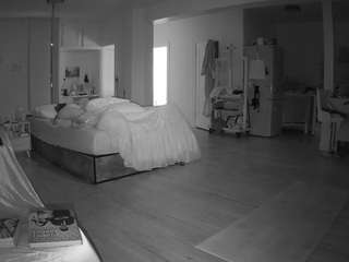 voyeurcam-celticiron-02