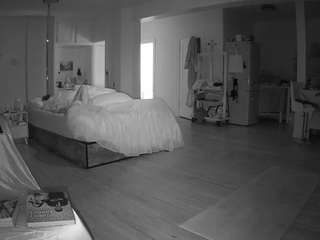 voyeurcam-celticiron-02