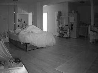 voyeurcam-celticiron-02