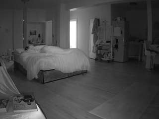 voyeurcam-celticiron-02