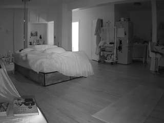 voyeurcam-celticiron-02